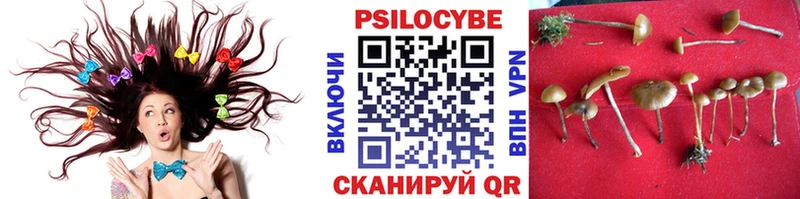 Псилоцибиновые грибы MAGIC MUSHROOMS Долинск