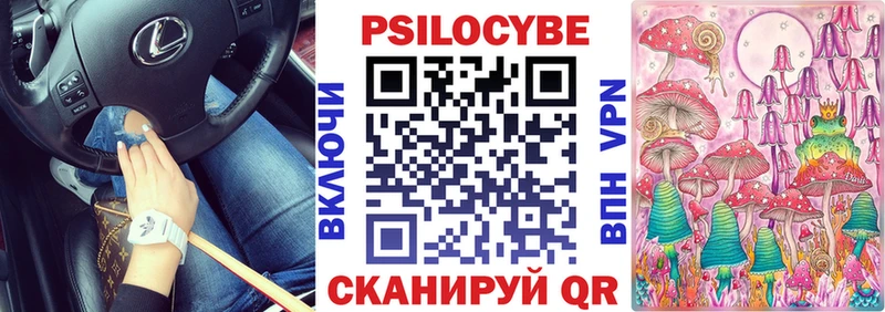 Галлюциногенные грибы Psilocybe  Долинск 